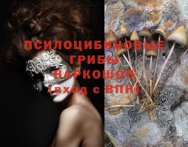 spice Алзамай