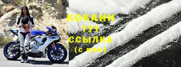 spice Алзамай