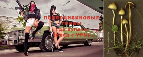 spice Алзамай