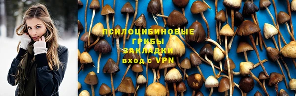 spice Алзамай