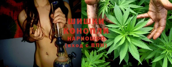 spice Алзамай