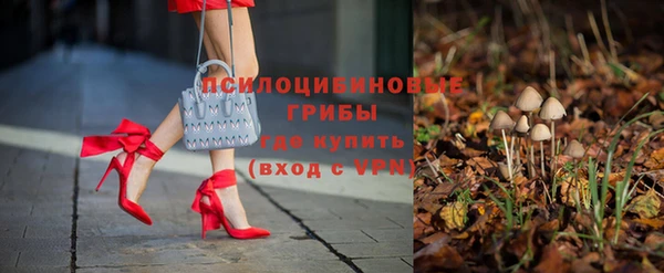 spice Алзамай